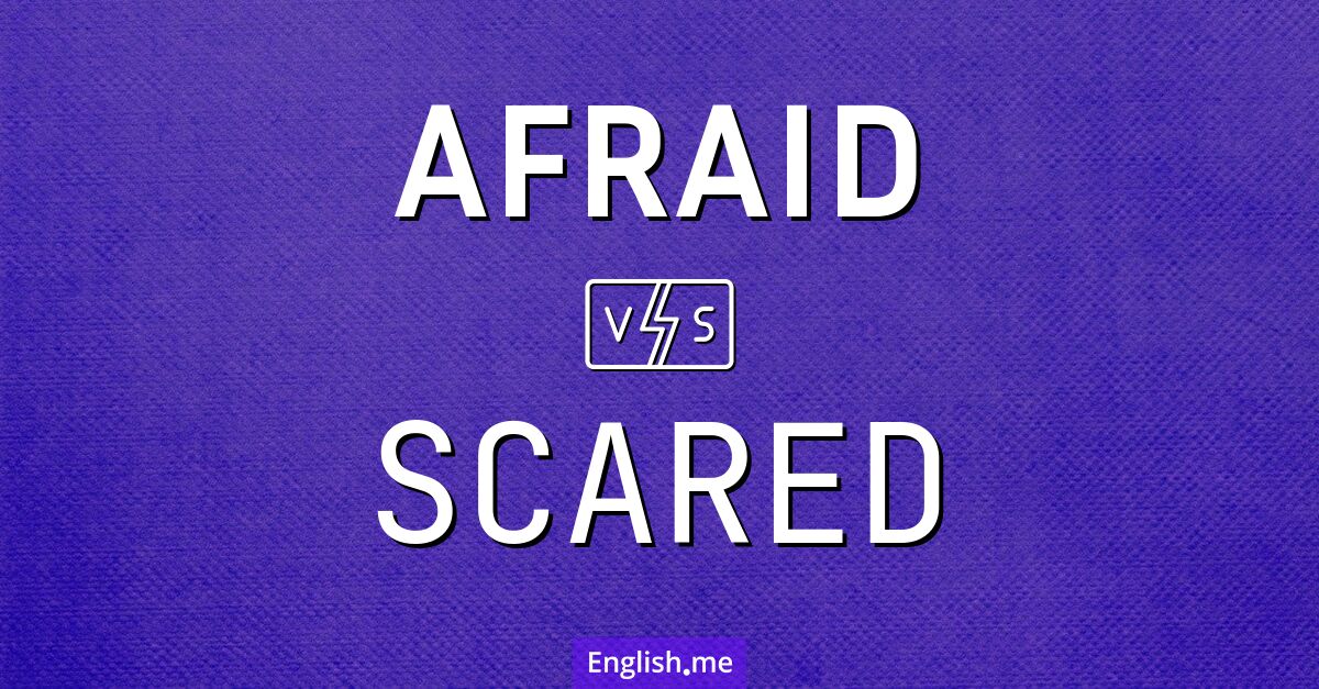 "Afraid" vs. "scared": what sets them apart?