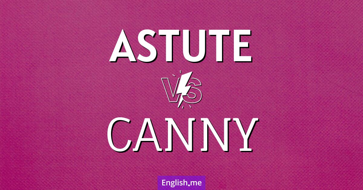 "Astute" vs. "canny": a clever comparison