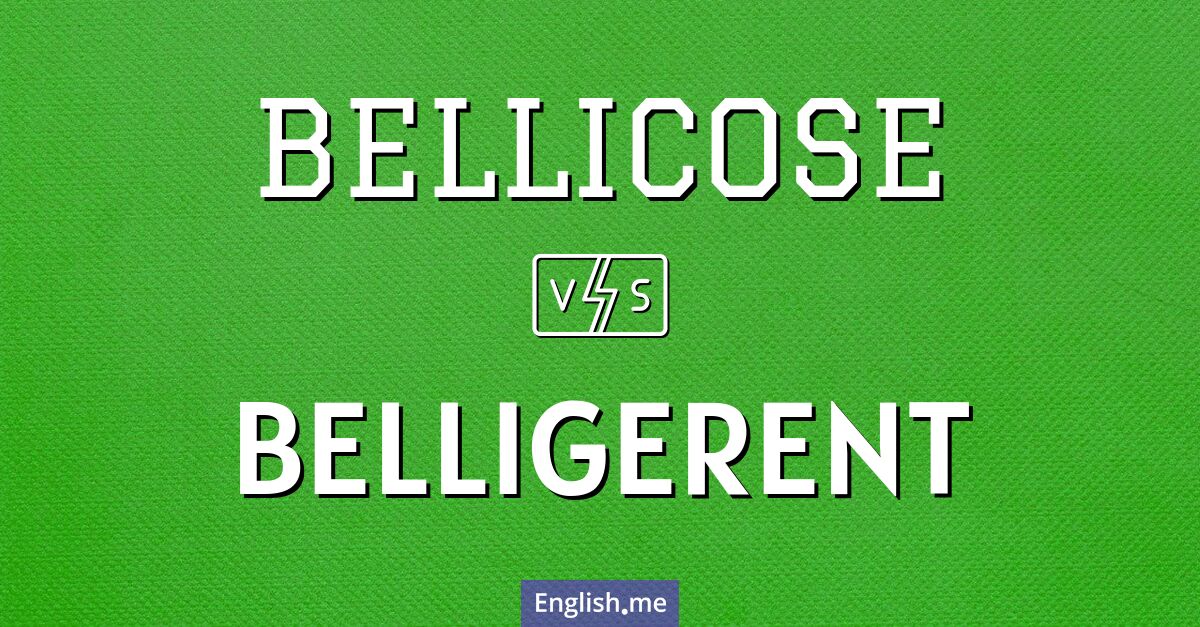 Battle of words: comparing "bellicose" and "belligerent"