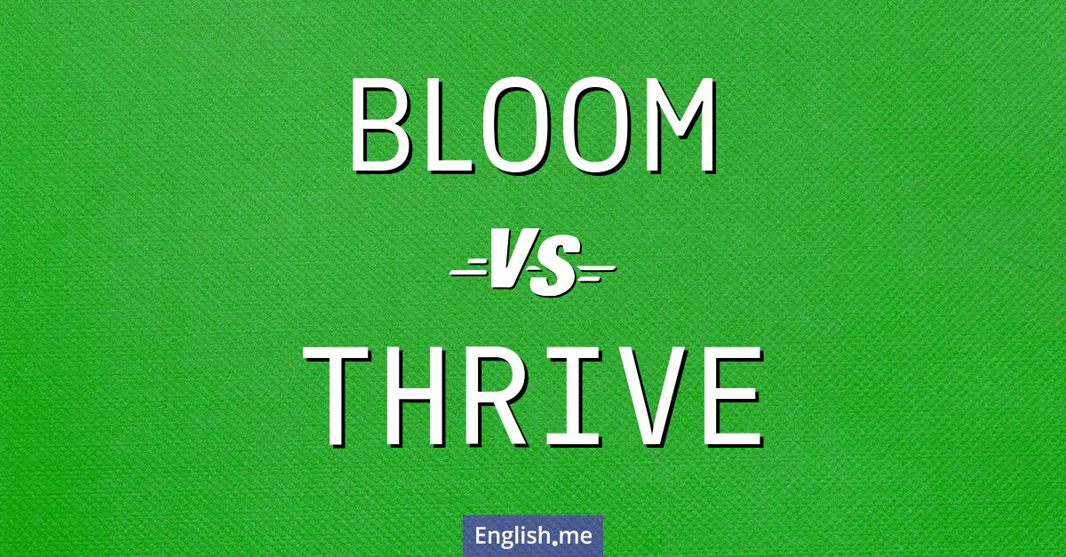 "Bloom" vs. "thrive": exploring growth in words