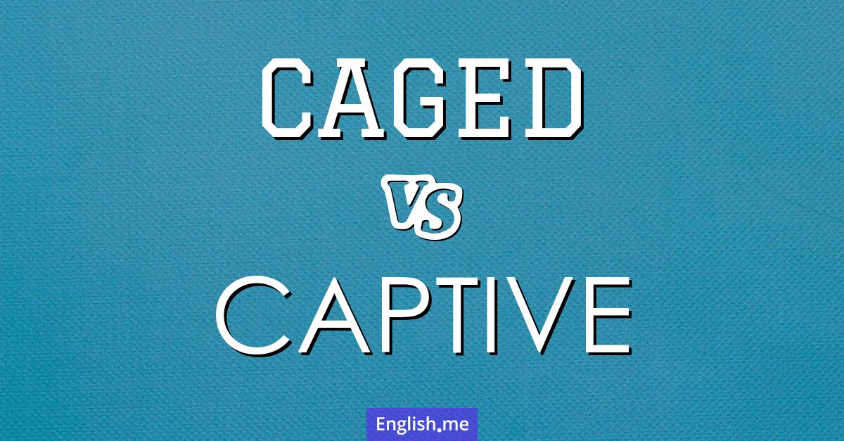 Caged and captive. What's the difference?