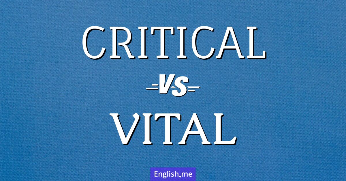 "Critical" and "vital": exploration of importance