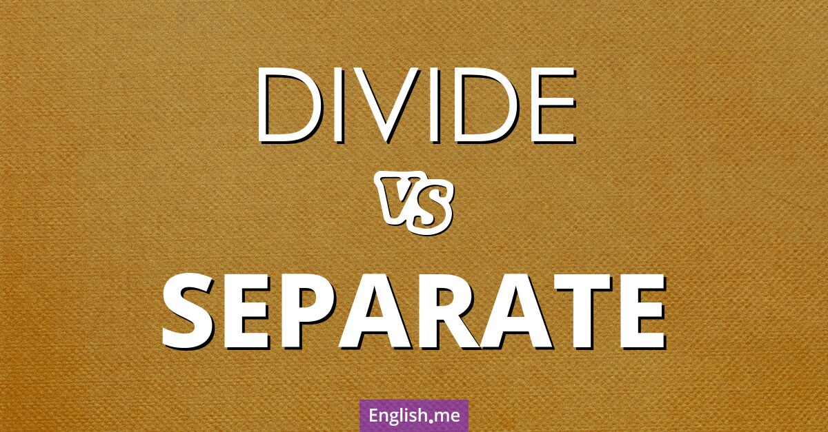 "Divide" vs. "separate": understanding the differences