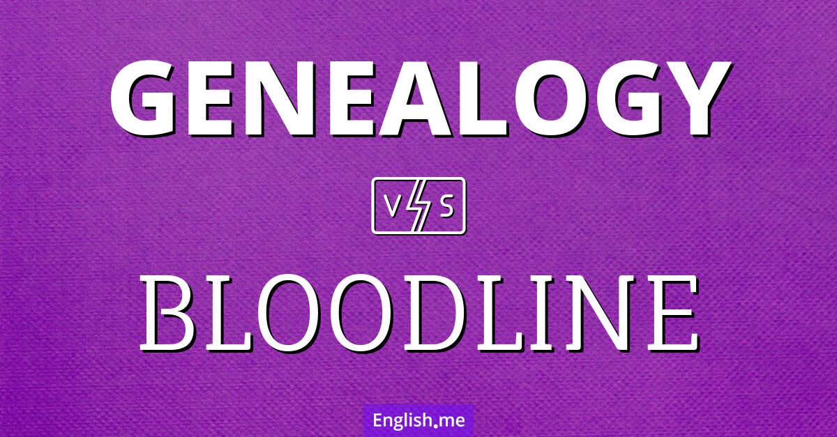 Genealogy and bloodline. What's the difference?