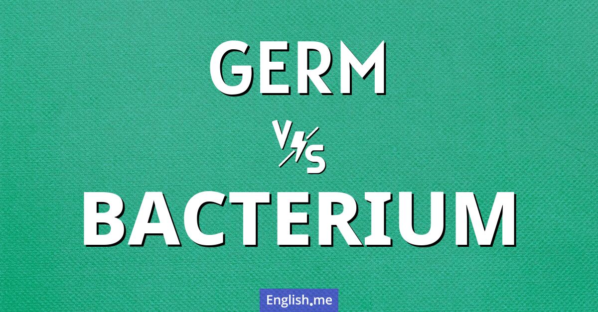 Germ and bacterium. What's the difference?