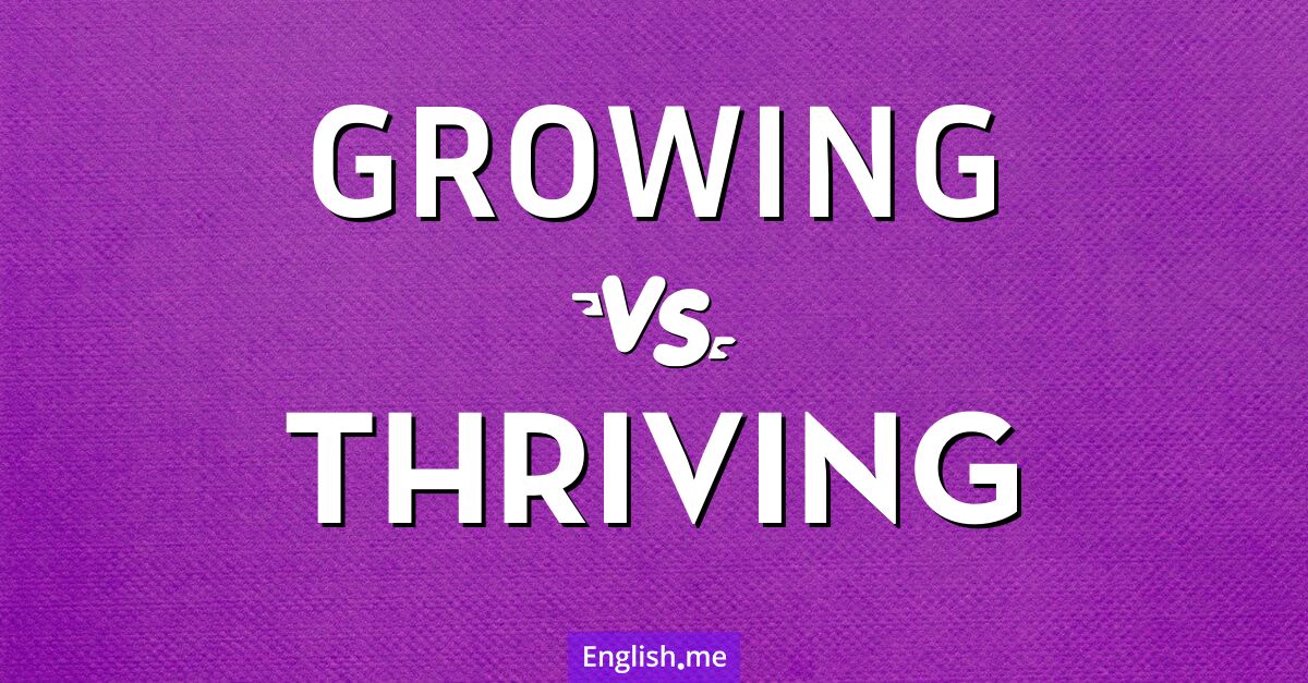 Comparing the paths: "growing" vs. "thriving"