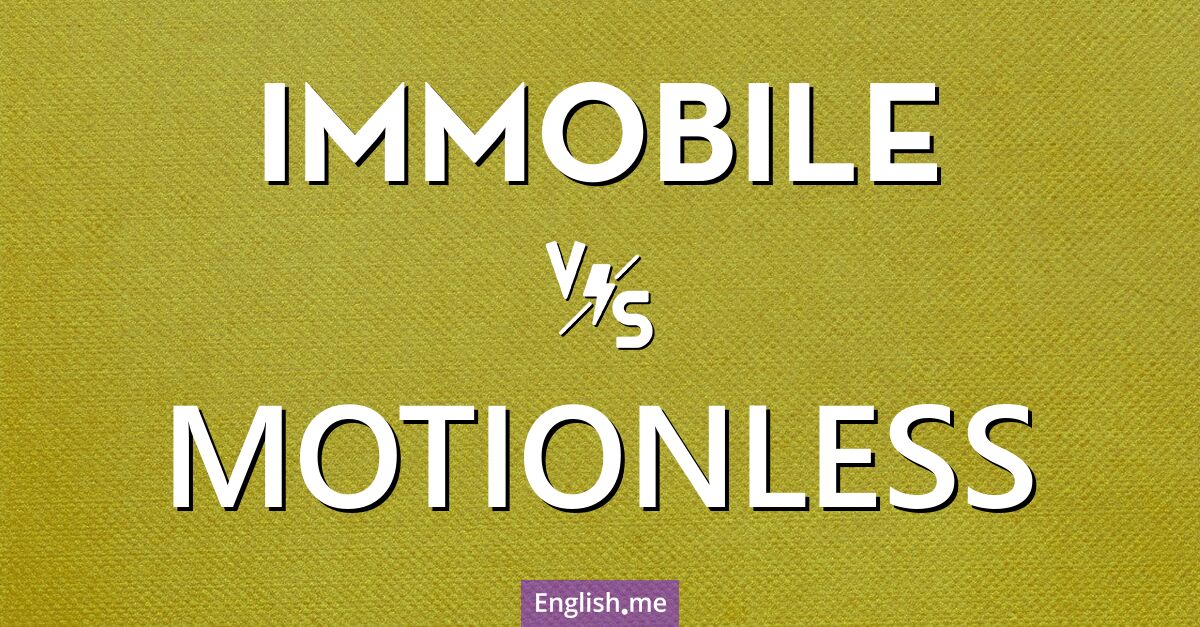 "Immobile" vs. "motionless": comparing stillness in words