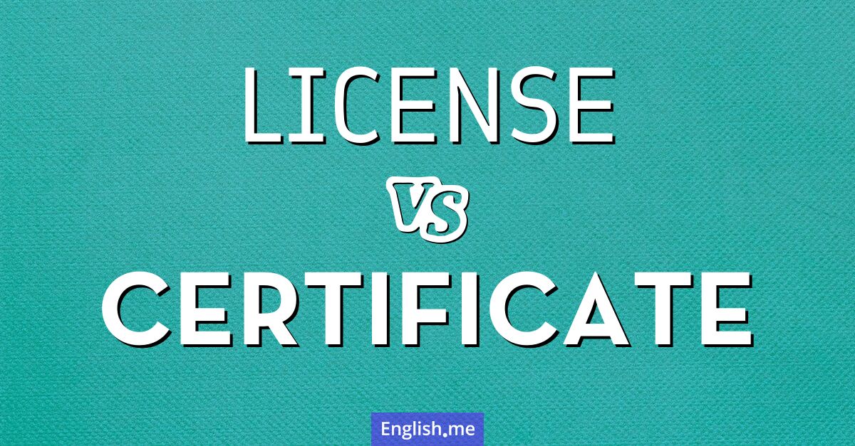 "License" vs "certificate": understanding the distinctions