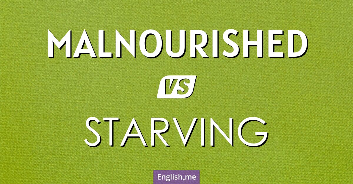 "Malnourished" vs. "starving": understanding the key differences