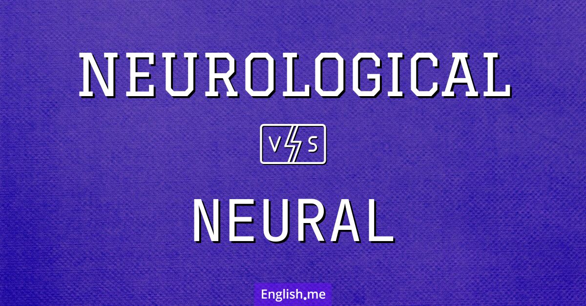 "Neural" vs. "neurological": exploring the connection and distinction