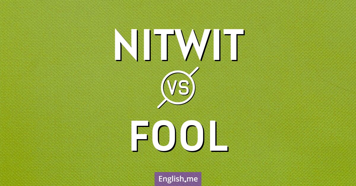 Nitwit and fool. What's the difference?