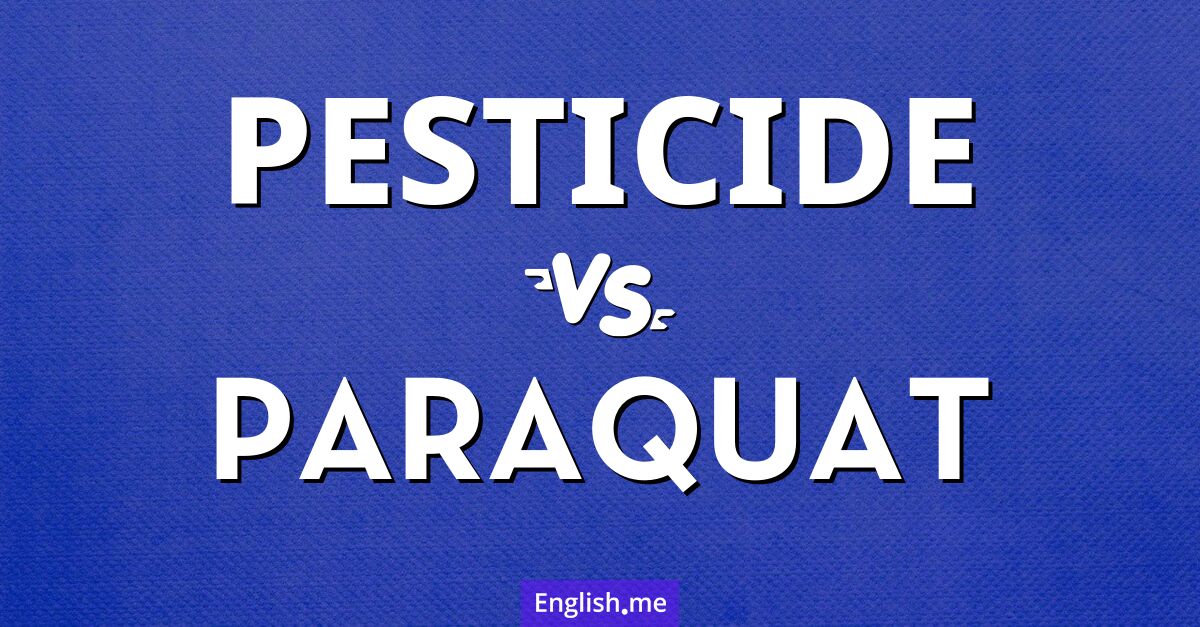 Pesticide and paraquat. What's the difference?