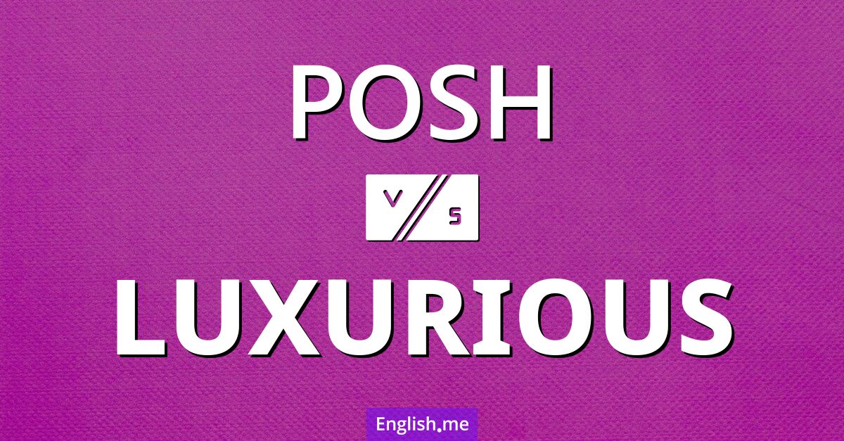 Exploring elegance: how "posh" and "luxurious" compare and contrast