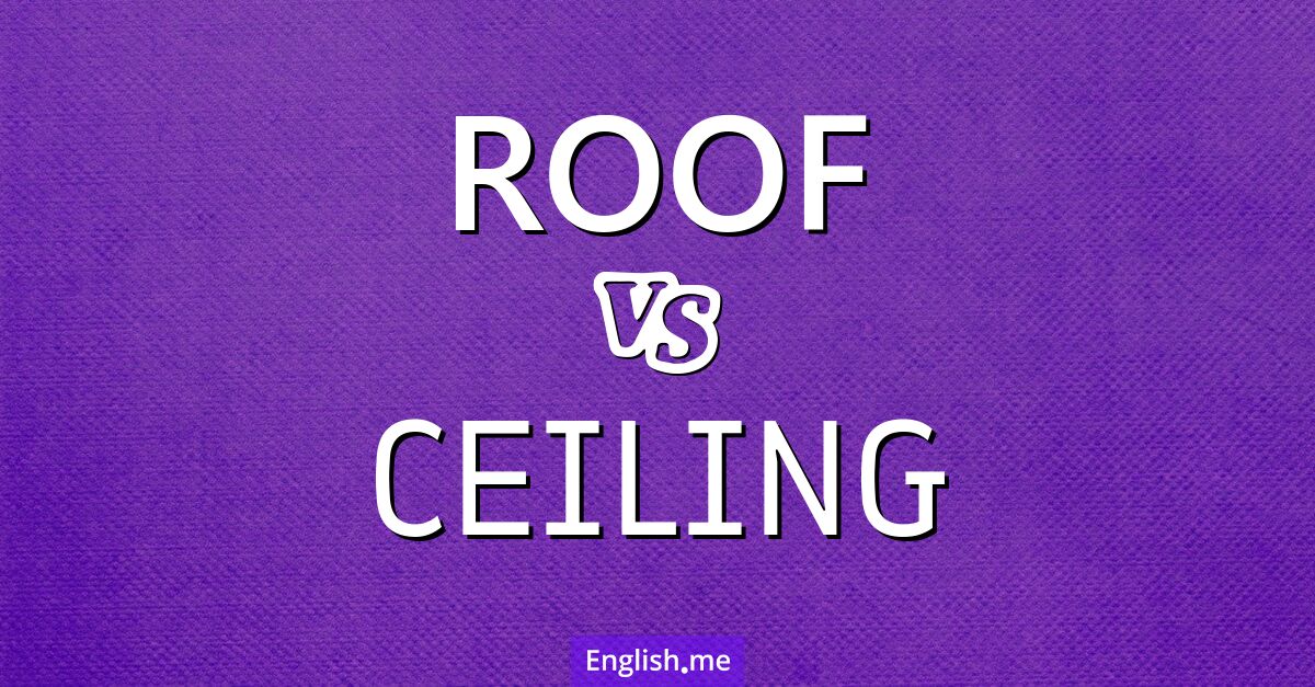 "Roof" or "ceiling"? The difference above you