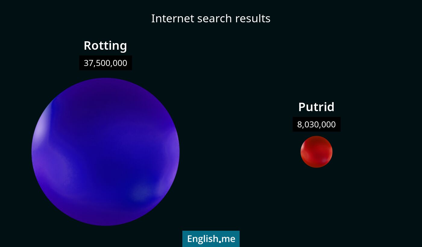 Internet search results for rotting) and putrid