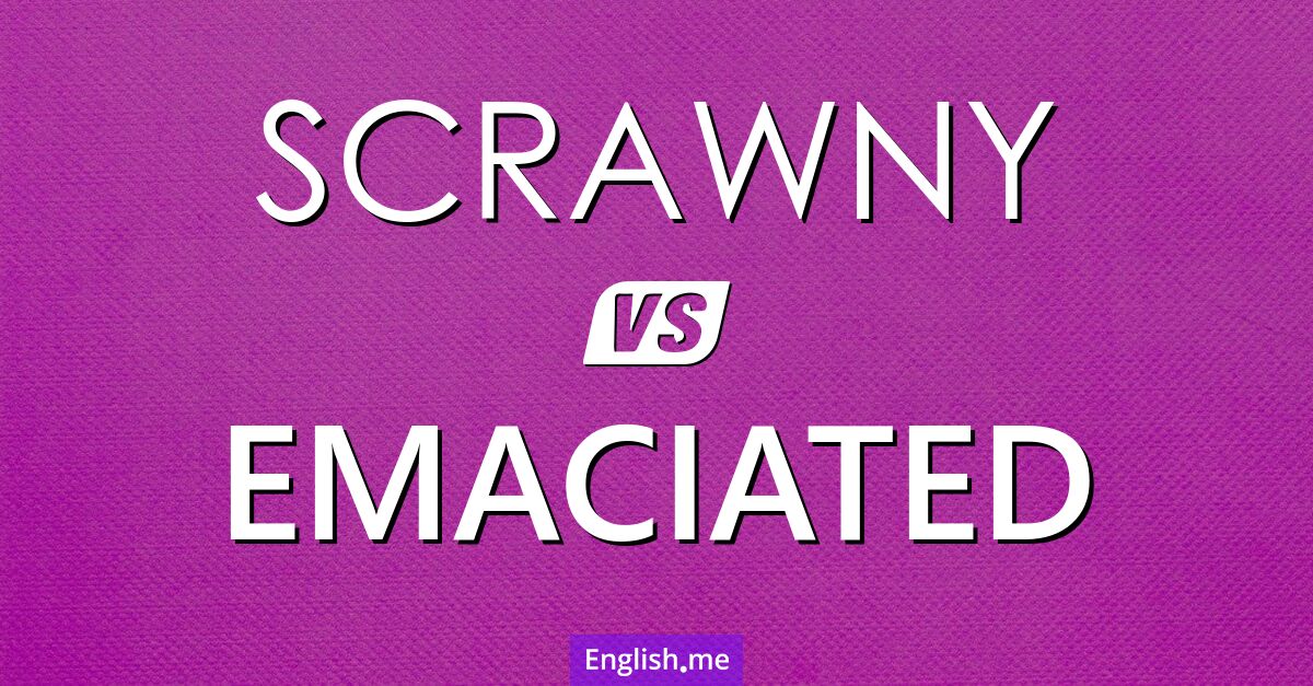 "Scrawny" vs "emaciated": nuances in thinness