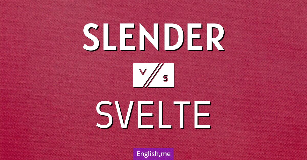 Slim distinctions: comparing "slender" and "svelte"