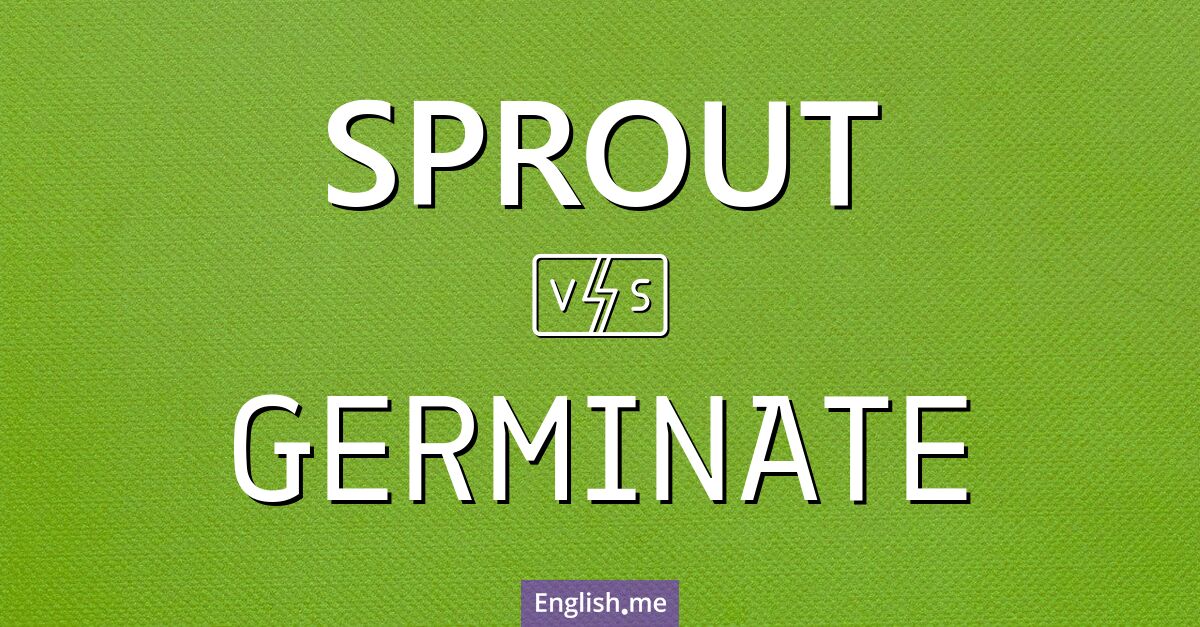 "Sprout" vs. "germinate": two paths to growth