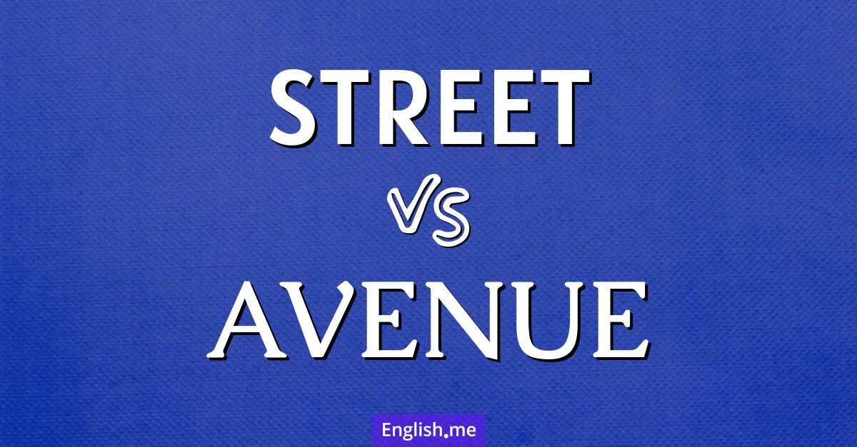 "Street" and "avenue": what sets them apart