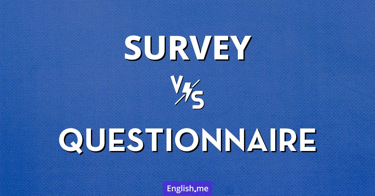 "Survey" vs. "questionnaire": comparing two pillars of data collection