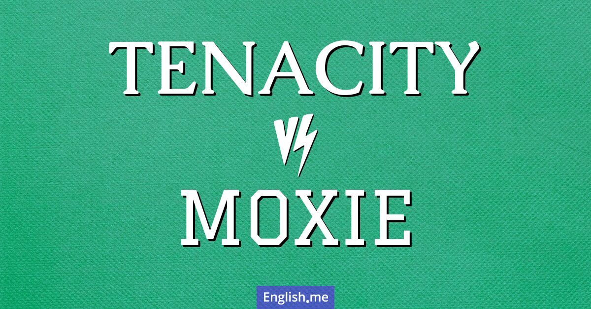 "Tenacity" vs. "moxie": distinct traits, shared spirit