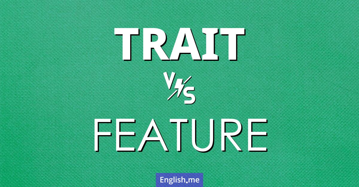 "Trait" vs. "feature": exploring subtle distinctions