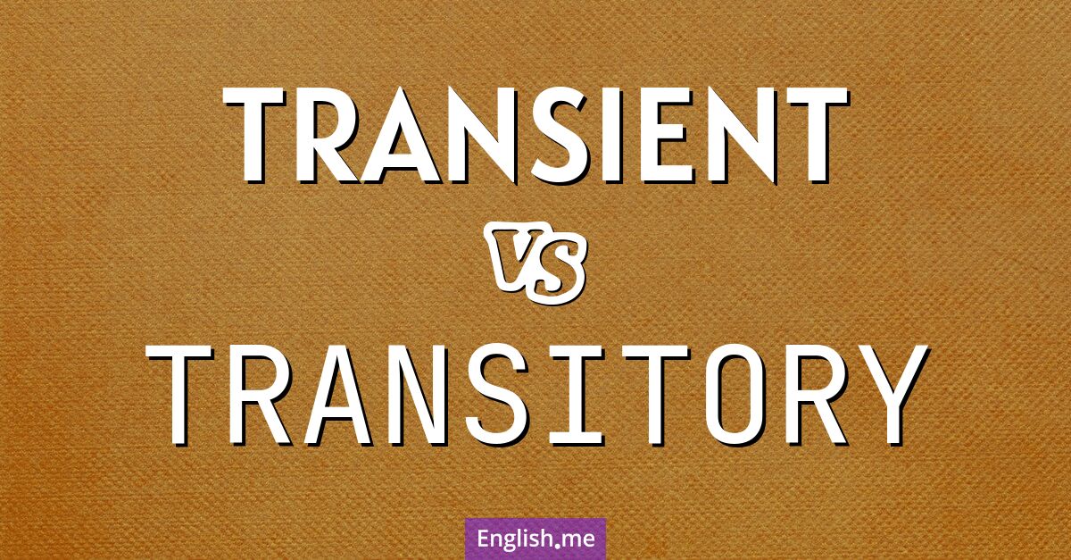 "Transient" and "transitory": words of fleeting nature