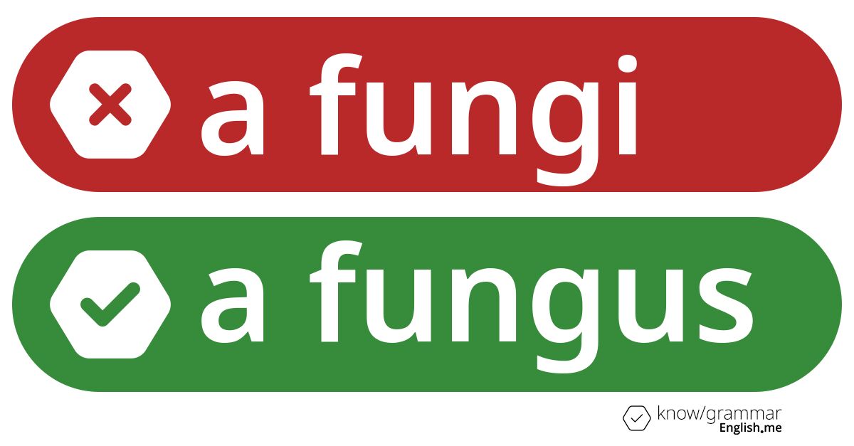 A singular misstep: correcting "a fungi"