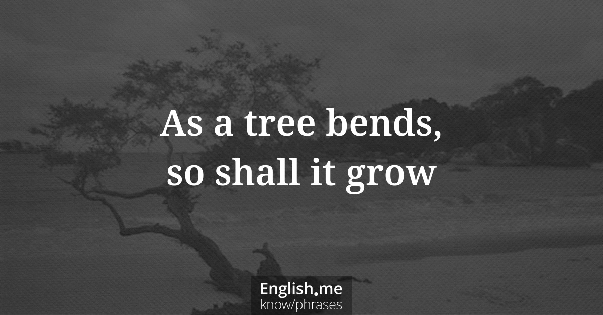 As a tree bends, so shall it grow