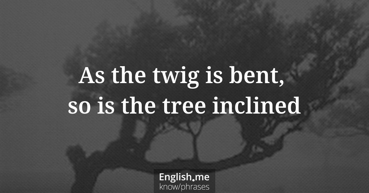 As the twig is bent, so is the tree inclined