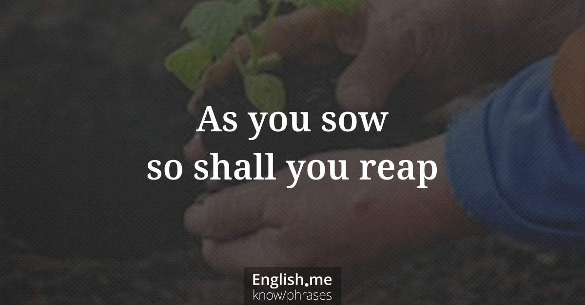 As you sow so shall you reap