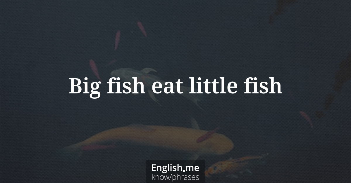 Big fish eat little fish