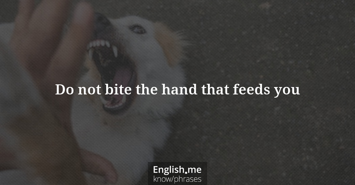 Do not bite the hand that feeds you