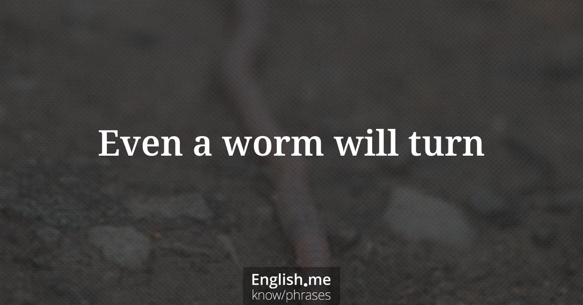 Even a worm will turn