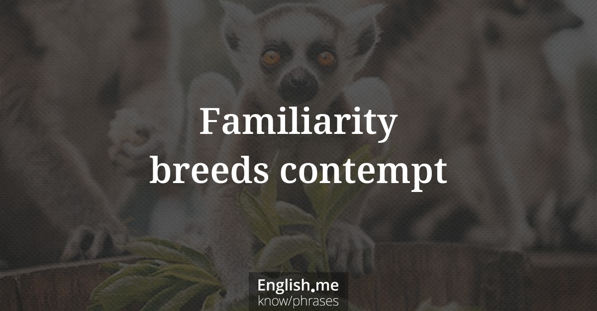 Familiarity breeds contempt