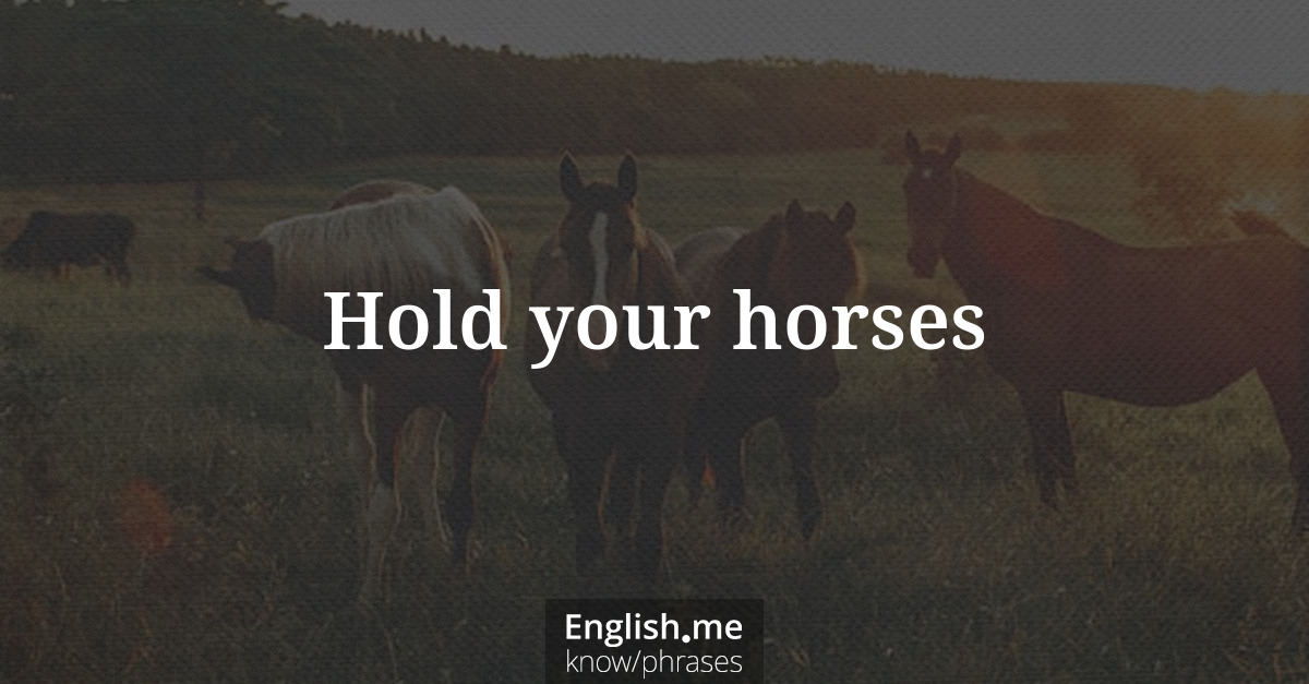 Hold your horses