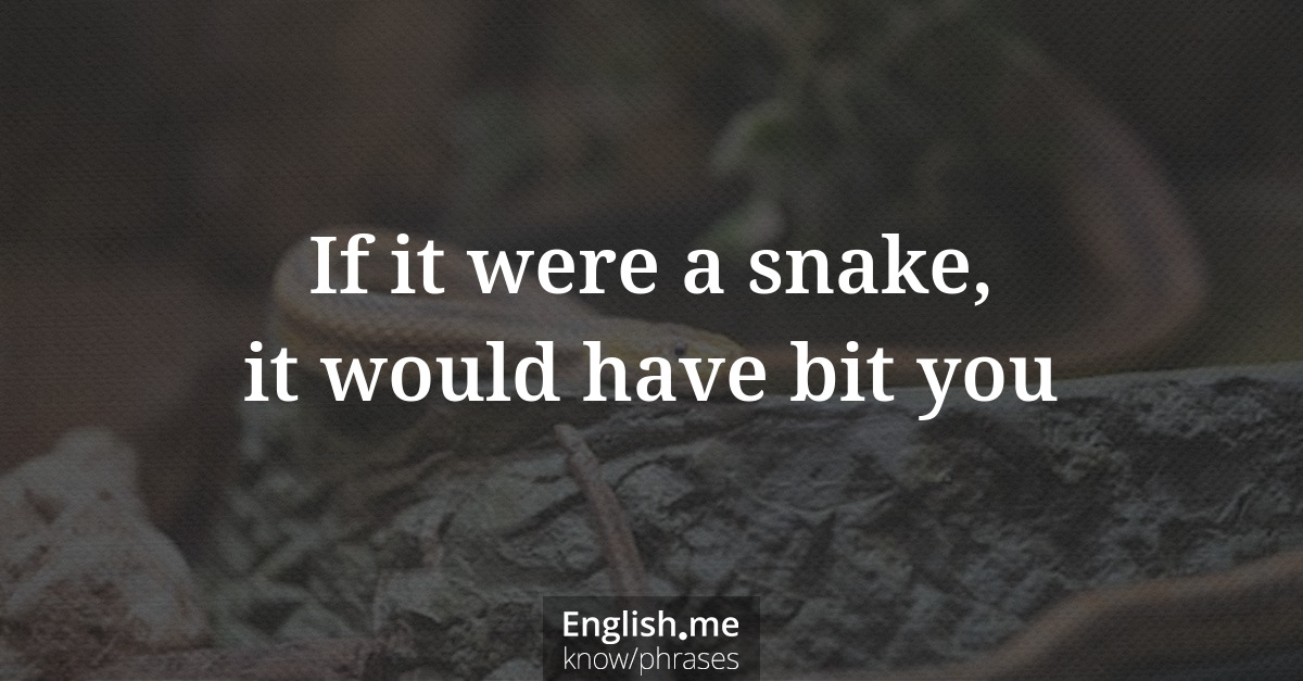 If it were a snake, it would have bit you