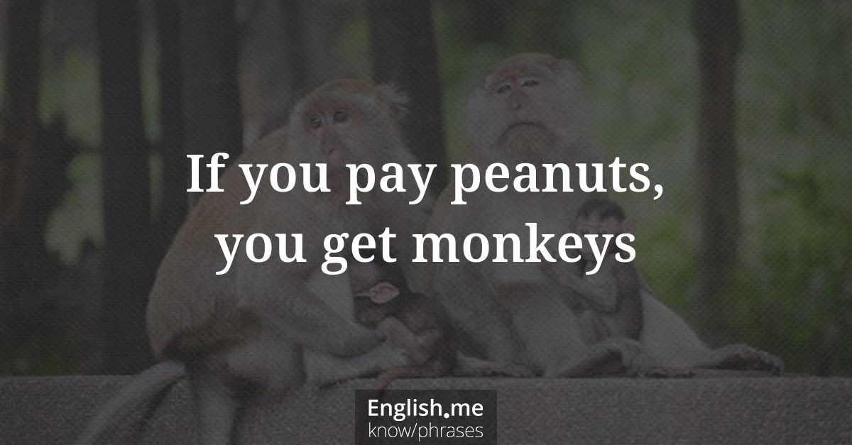 If you pay peanuts, you get monkeys