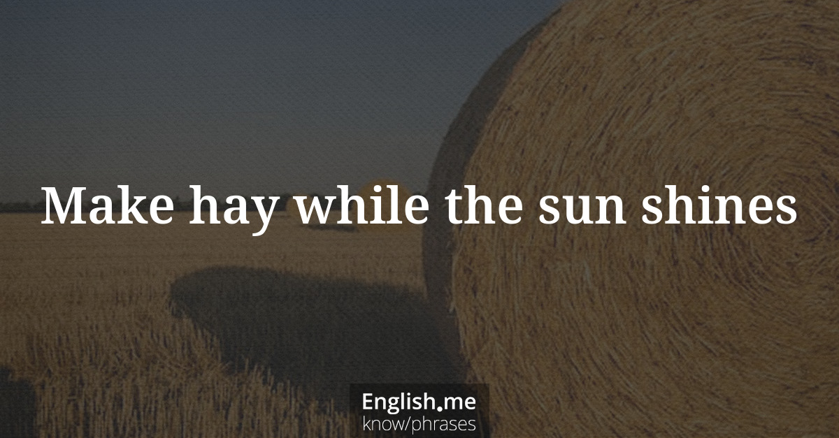 Make hay while the sun shines