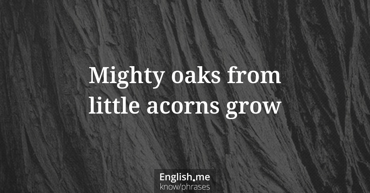 Mighty oaks from little acorns grow