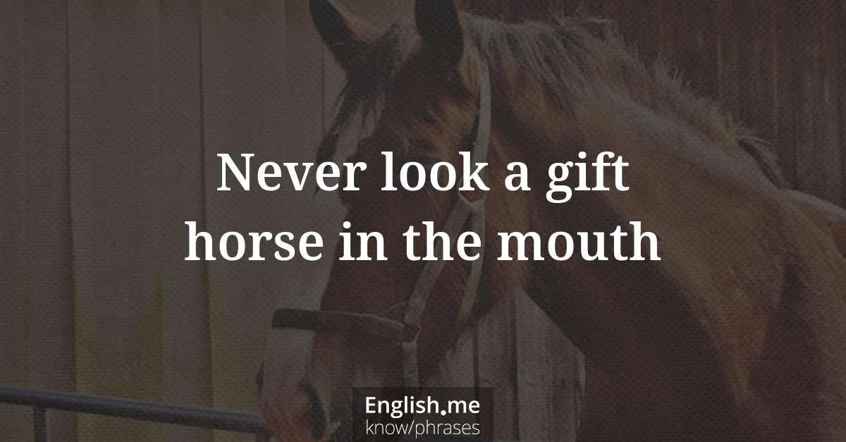 Never look a gift horse in the mouth