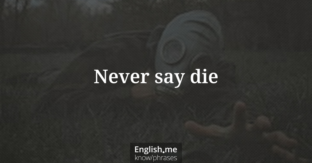 Never say die