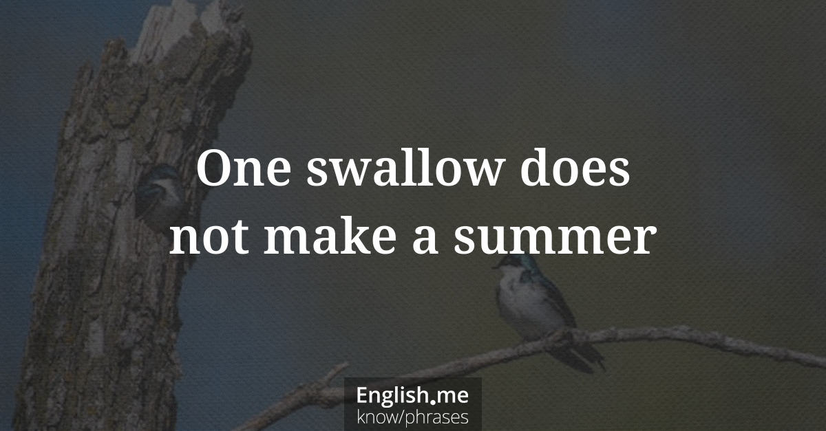 One swallow does not make a summer