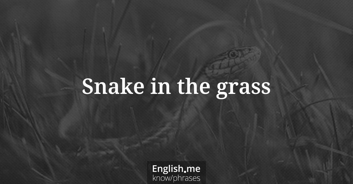 Snake in the grass