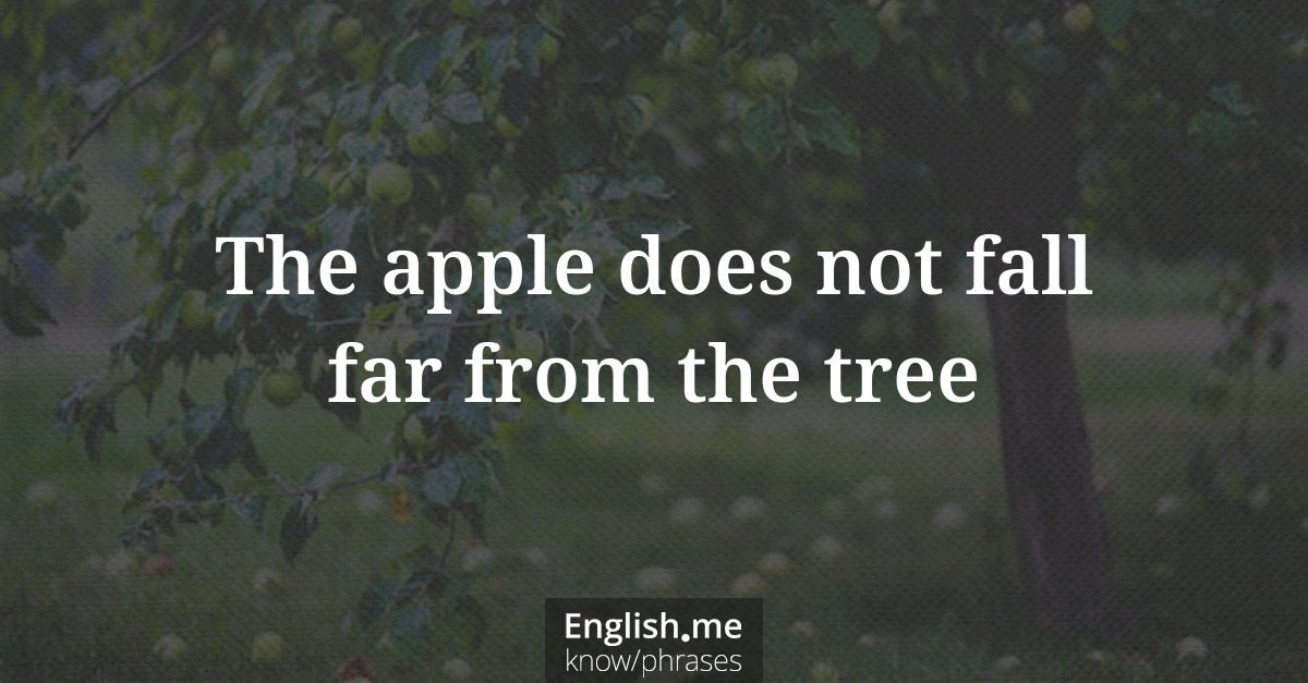 The apple does not fall/never falls far from the tree