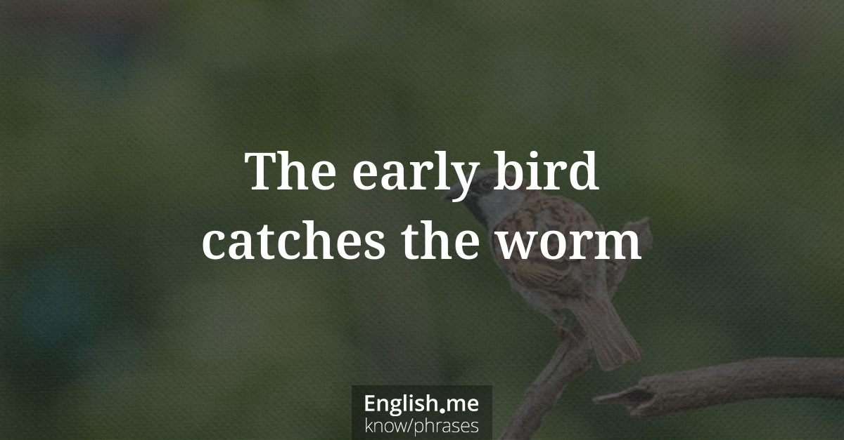 The early bird catches the worm