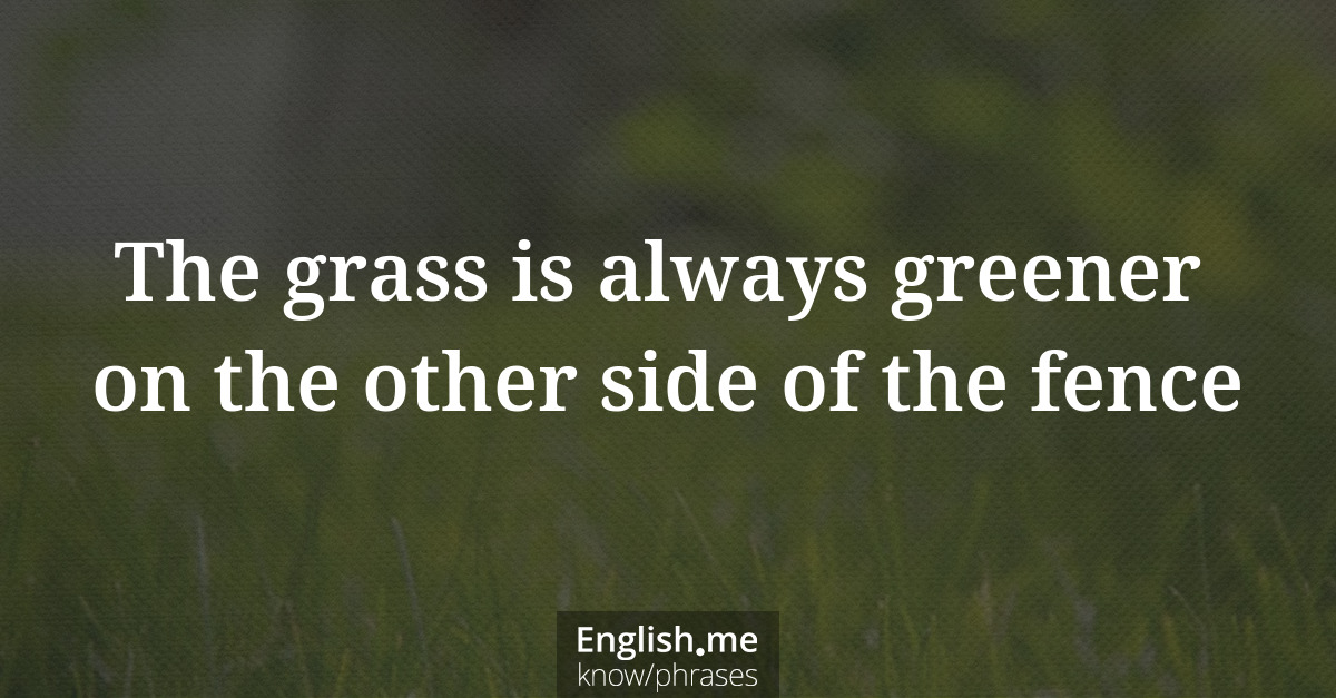The grass is always greener on the other side of the fence