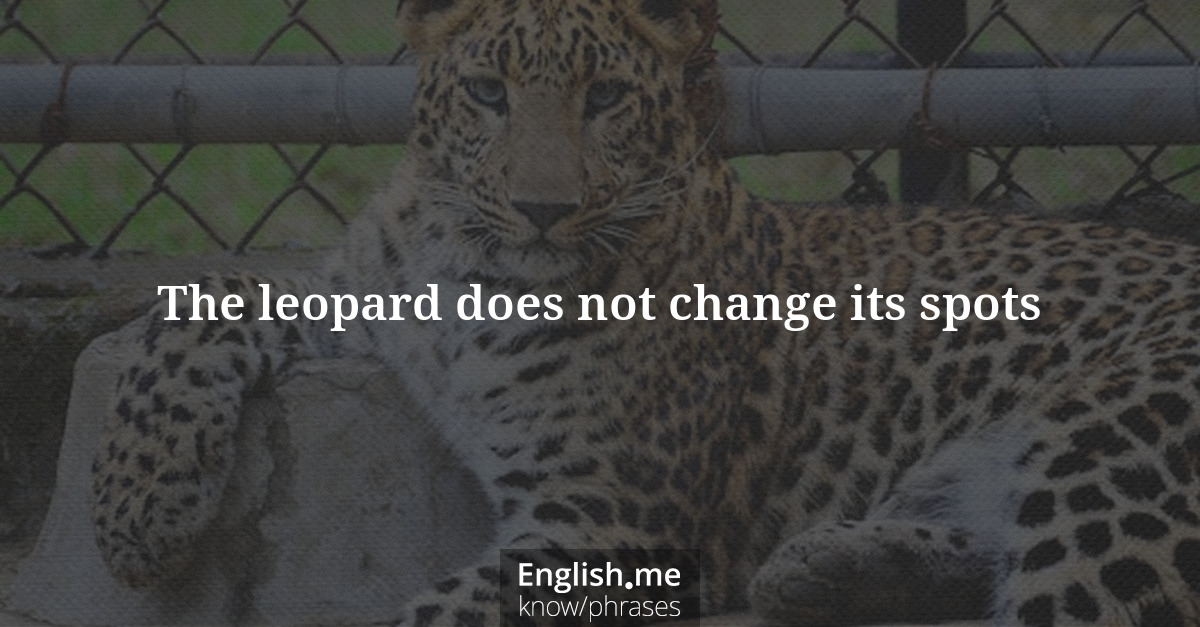 The leopard does not change its spots