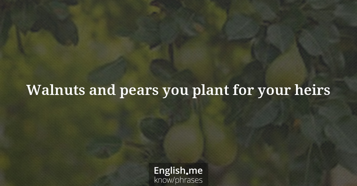 Walnuts and pears you plant for your heirs