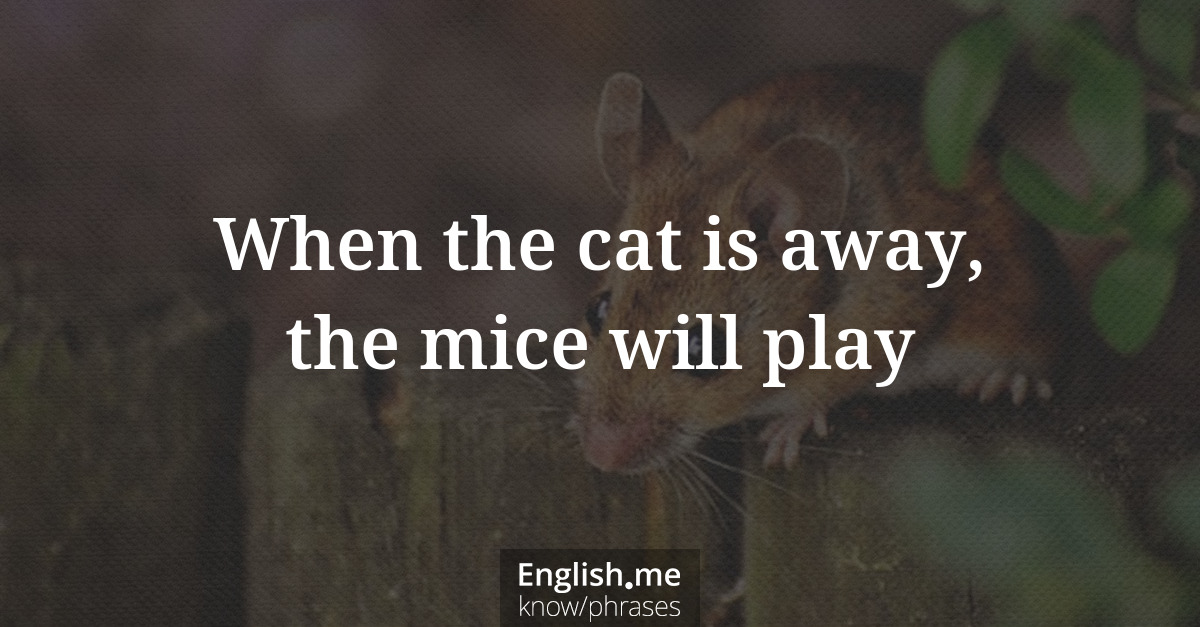 When the cat is away, the mice will play